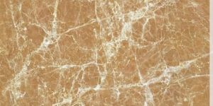 Indian Marble Tiles
