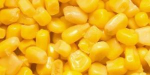 Frozen Sweet Corn