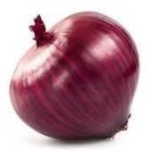 Onion