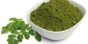 Moringa Leaves Powder