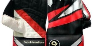 Wicket Keeping Gloves