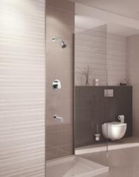 Single Lever Diverter
