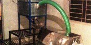 Automatic Cashew Peeling Machine