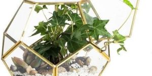 Planter Flower Pot
