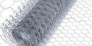 Stainless Steel Chicken Wire Mesh