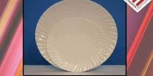 Dinner Plate