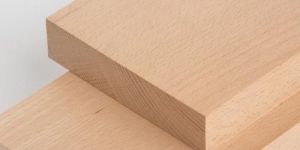 Steamed Beech Wood