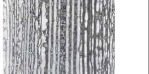 Ceramic Anti Slip Floor Tile