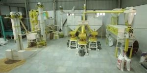 Fully Automatic Chakki Atta Plant