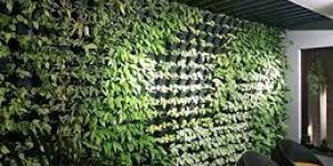 Vertical Garden