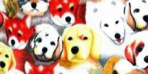 Cotton Multicolor Towel Printed Fabric