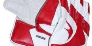 Cricket Gloves