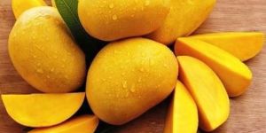 Fresh Alphonso Mango