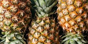 Organic Pineapple