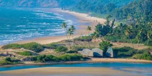 Domestic Tour Operators