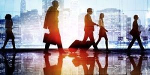 Tour Operators