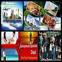 Tour Operators