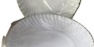 Disposable Paper Plate