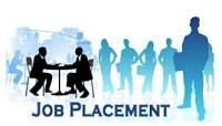 Placement Consultant