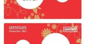 Silver Coin Gift Card