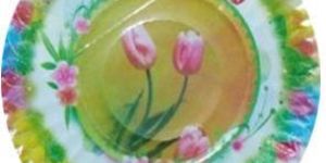 Printed Paper Plate