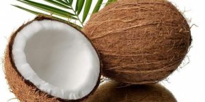 Coconut