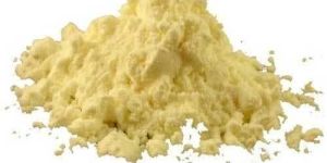 Butter Milk Powder