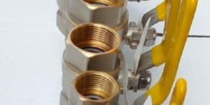 Vertical Brass Non Return Valves