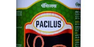 Pacilus Paecilomyces Lilacinus