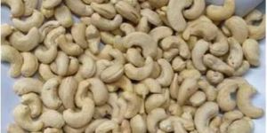 Cashew Kernel