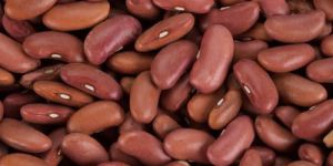 Red Kidney Bean