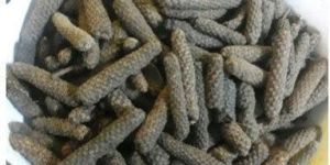 Long Pepper Seeds