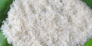 Sharbati Non Basmati Rice