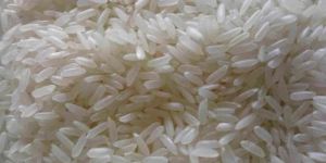 Swarna Rice