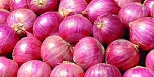 Red Onion