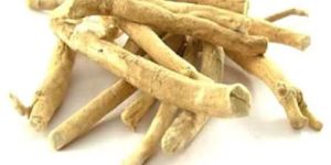 Ashwagandha Roots