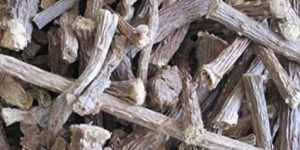Dry Giloy Root