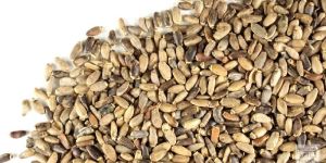 Milk Thistle Seeds