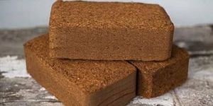 Coconut Coir