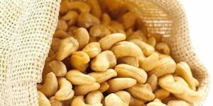 Cashew Kernels