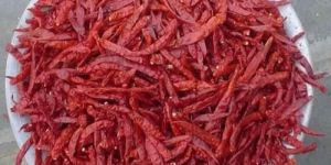 Dried Red Chilli