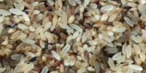 Rejection Rice for Cattle Feed