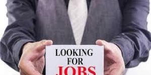 Placement Consultant