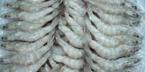 Frozen Vannamei Shrimp