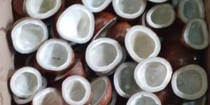 Organic Split Dried Copra