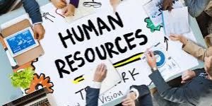 HR Consultant