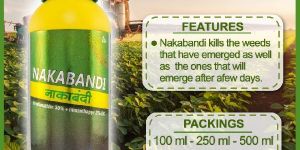 Pendimethalin 30 + Imazethapyr 2 EC Herbicide