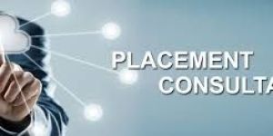 Placement Consultant