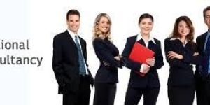 Educational Consultant