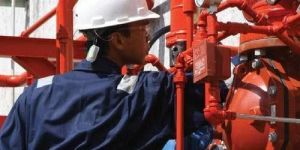 Fire Safety Consultant